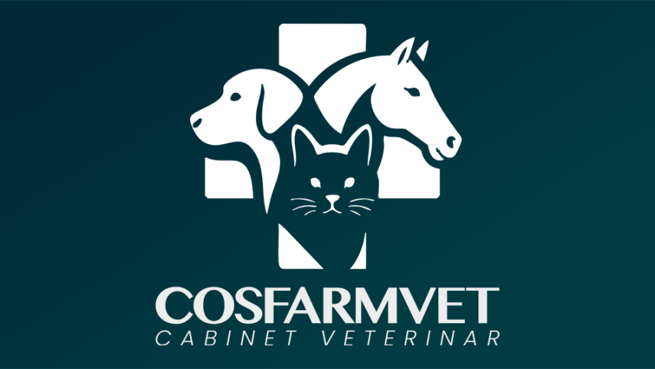 Cum alegi un cabinet veterinar de incredere in Gorj – sfaturi utile pentru stapani